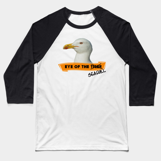 Eye of the Seagull